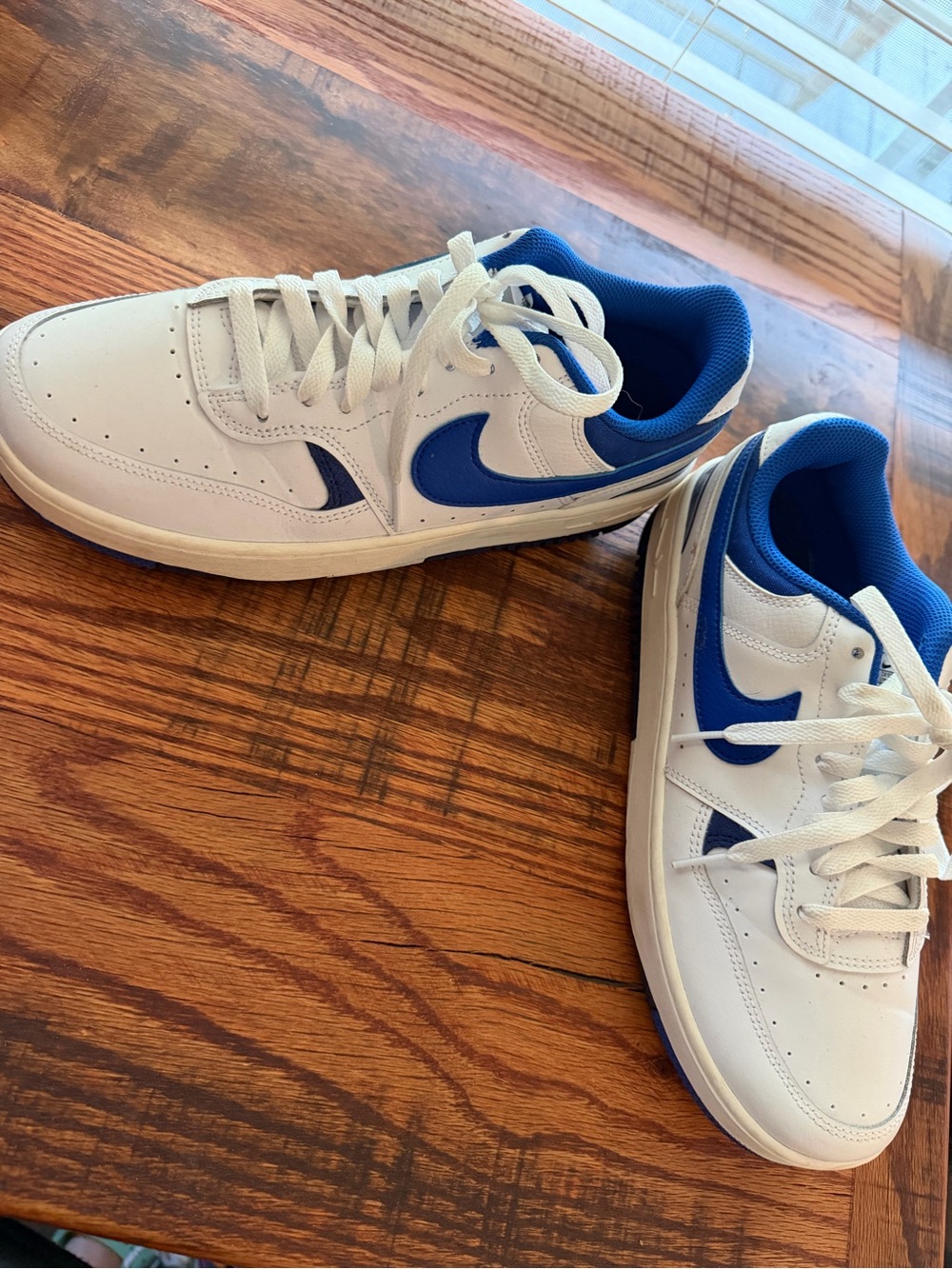 Nike White and Blue Low-Top Sneakers